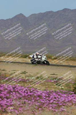 media/Feb-04-2023-SoCal Trackdays (Sat) [[8a776bf2c3]]/Turn 15 Inside Blooming (1050am)/